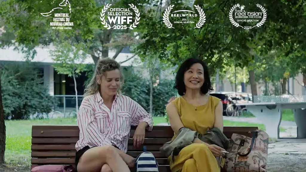 蒙特利尔，我的美人